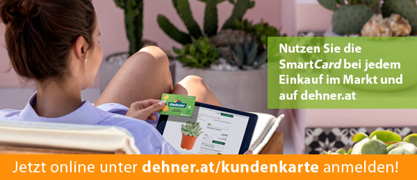 Smart Card