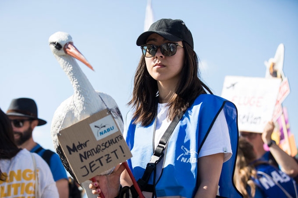 Bürgerschaftswahl 2025 Forderungen des NABU für mehr Natur- und Klimaschutz