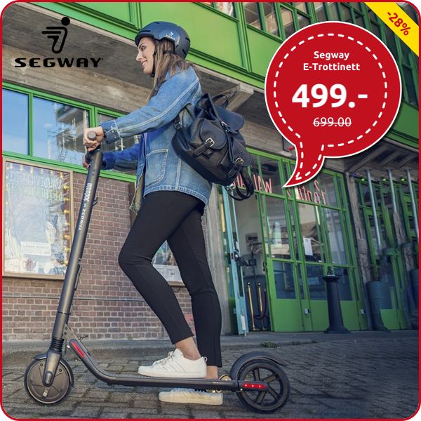 Segway E-Trottinett «Ninebot KickScooter ES2 Lite»