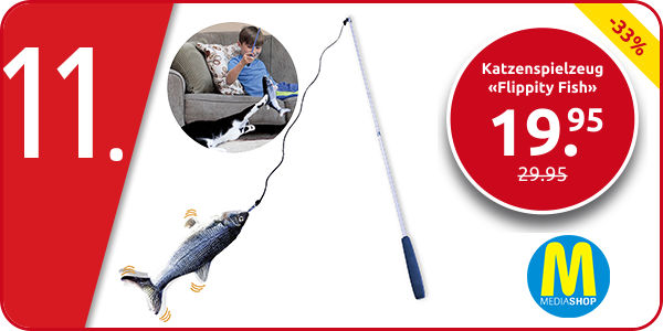 Katzenspielzeug «Flippity Fish»