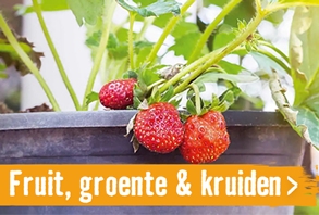 Fruit, groente & kruiden | HORNBACH