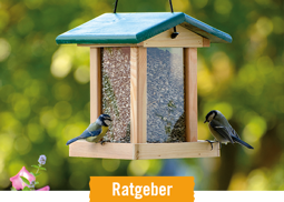 HORNBACH Ratgeber Vögel richtig füttern