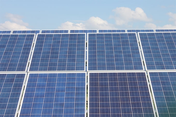 NABU unterstützt 1.000 Megawatt-Solarkampagne Solarstrom soll bis 2030 wichtigste Energiequelle werden