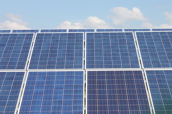 Netto-Null darf kein Freifahrtschein sein! ABU Niedersachsen warnt vor Umweltkonflikten bei geplanter „Net Zero Valley“-Region im Nordwesten Niedersachsen