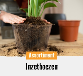 Inzethoezen | HORNBACH