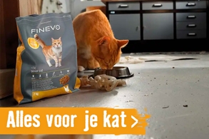 katten | HORNBACH