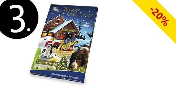 Adventskalender «Hunde»