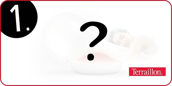 Dreamer von Terraillon