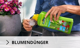 Blumenerde