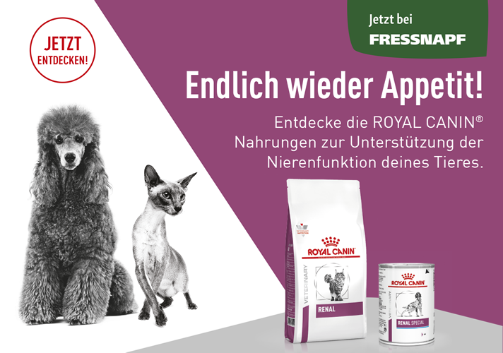 Endlich wieder Appetit!- Entdecke die ROYAL CANIN Nahrungen zur Unterstützung der Nierenfunktion deinen Tieres