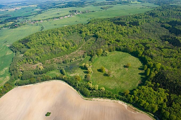 Stärkung des Nationalen Naturerbes
NABU-Stiftungen bündeln Kräfte