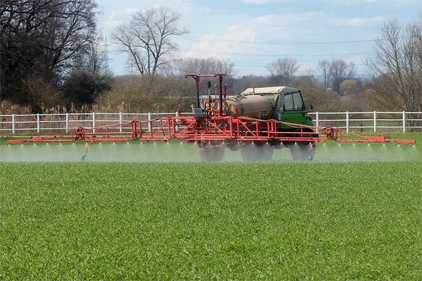 Renaturierung ist Gewinn für Landwirt*innen Ohne gesunde Ökosysteme keine zukunftsfeste Landwirtschaft
