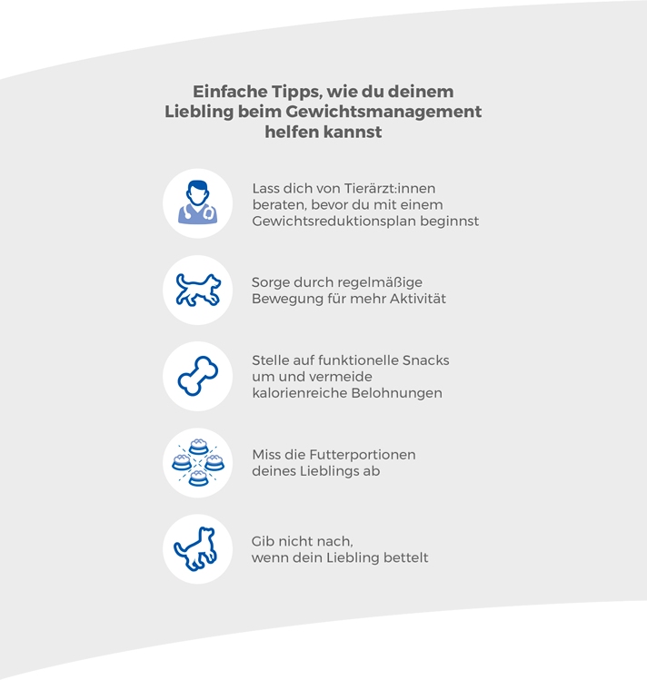 Einfache Tipps, wie du deinem Liebling bei der Gewichtsabnahme helfen kannst