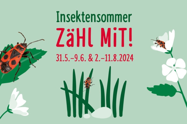 Deutschlands größte Insektenzählung geht in die siebte Runde Insekten zählen und dem NABU melden
