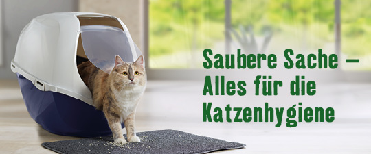 Katzenhygiene