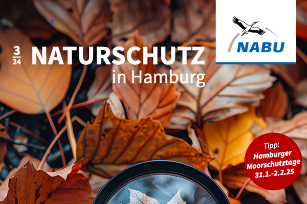 Einblicke in die Umweltbildung Naturschutz in Hamburg 3/24 online