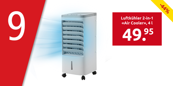 Luftkühler 2-in-1 «Air Cooler», 4 l