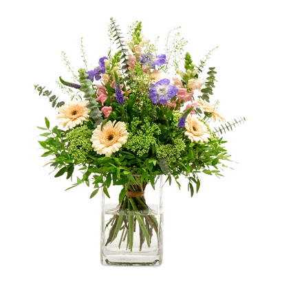 Septemberkollektion 2019