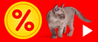 Spar på kattefoder 