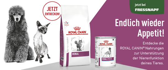 Endlich wieder Appetit! Entdecke die ROYAL CANIN Nahrungen zur Unterstützung der Nierenfunktion deines Tieres