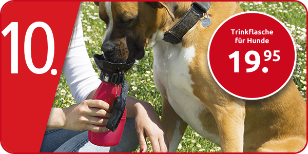 Trinkflasche für Hunde