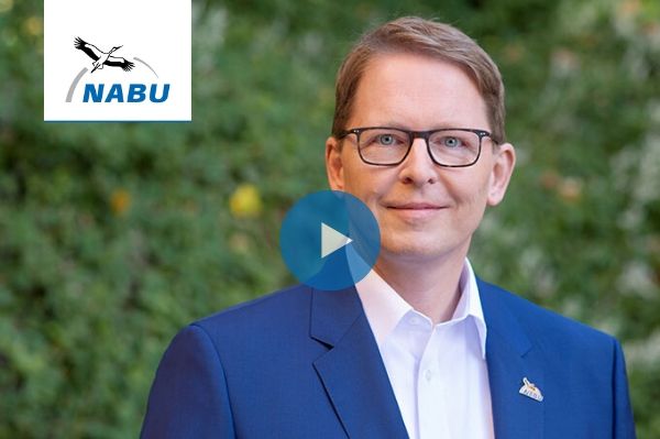 Ganz in weiß... Welches Gehölz blüht wann im Frühling?