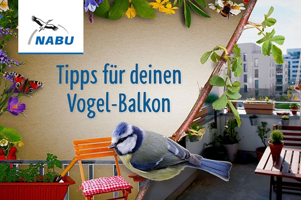 Video-Tipp: Das große Zwitschern Sieben Tipps für einen vogelfreundlichen Balkon