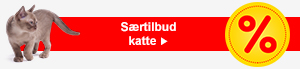 Spar på kattefoder 