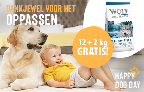 Wolf of Wilderness 12 + 2 kg gratis!