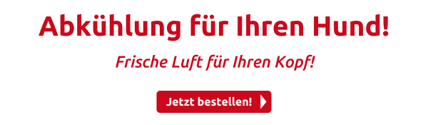 Abkühlung für Ihren Hund!