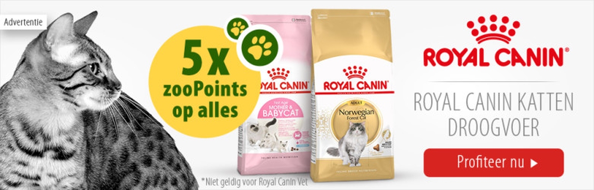 5x zooPoints op Royal Canin kattenvoer!