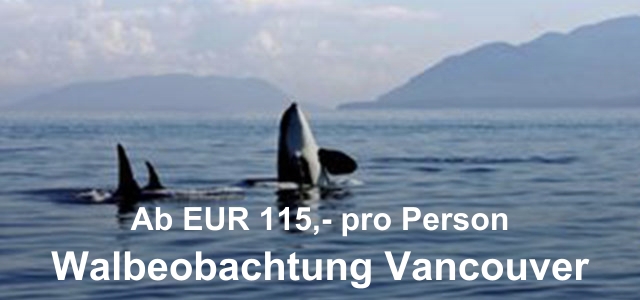 Walbeobachtung Vancouver