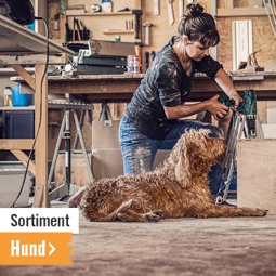 Alles für Hunde im HORNBACH Onlineshop