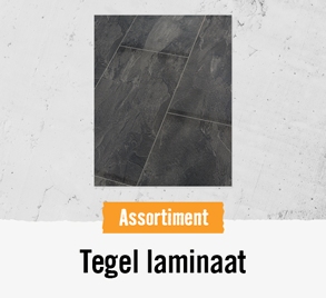 Tegel laminaat | HORNBACH