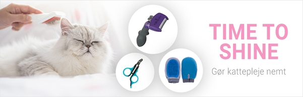 Pelspleje til katte