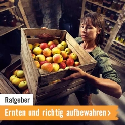 HORNBACH Ratgeber Ernten und richtig aufbewahren