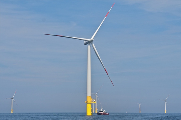 Künstliche Windkraftinseln in der Nordsee Viele geplante EU-Infrastrukturprojekte nicht vereinbar mit Klima- und Naturschutz