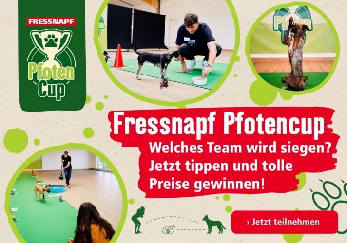 Fressnapf Pfotencup: Jetzt mitmachen!