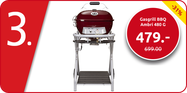 OUTDOORCHEF Gasgrill  BBQ Ambri 480 G, GRATIS: Hülle & Sonde, Wert 120 CHF