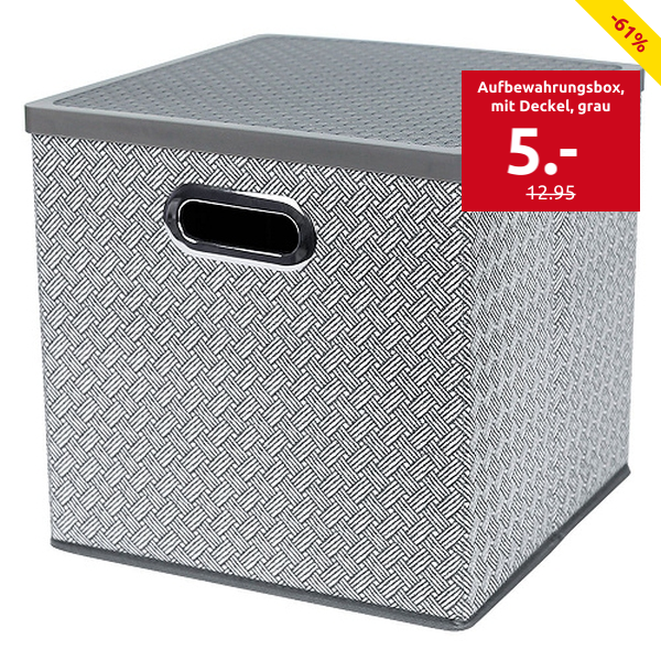 Aufbewahrungsbox, 27 x 27 x 27 cm, mit Deckel, grau