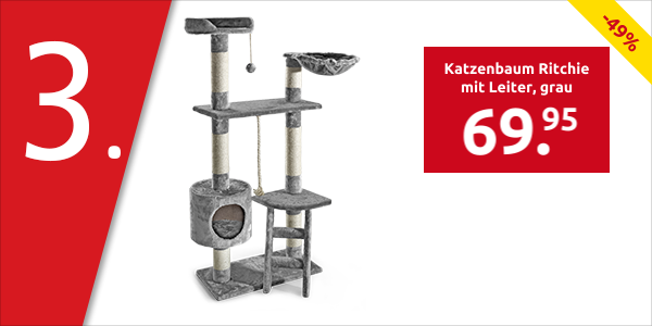 Katzenbaum Ritchie mit Leiter, grau