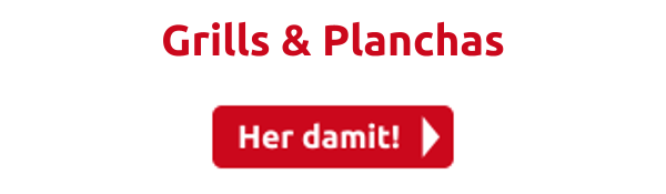 Grills & Planchas