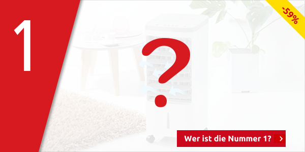 Luftkühler 2-in-1 «Air Cooler», 4 l