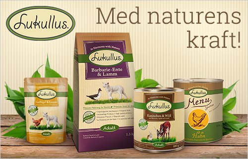 Lukullus >>