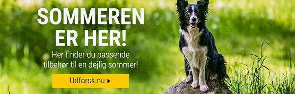 Sommertilnehør til hunde