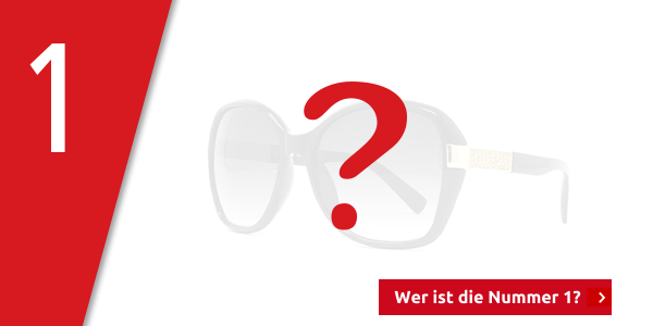 Guess Damensonnenbrille mit Dekoelement, schwarz