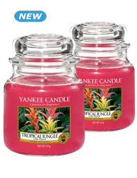 Duft-Kerzen «Tropical Jungle», 2 Stück