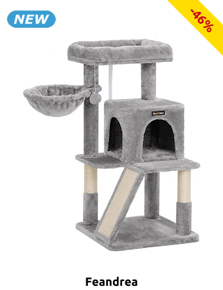 Feandrea Katzenbaum «Coco»