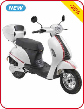 Elektro-Mobil E3100LI SPC, 2 Sitze