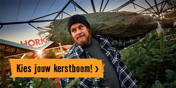 Kerstbomen | HORNBACH